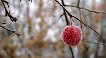 11 листопада: церковне свято сьогодні, чого треба позбутися цього дня