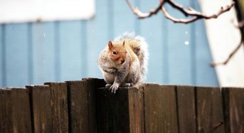 10 листопада: церковне свято сьогодні, що не можна робити в день шести апостолів