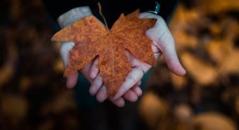 17 листопада в Україні буде тепло, попереду – похолодання