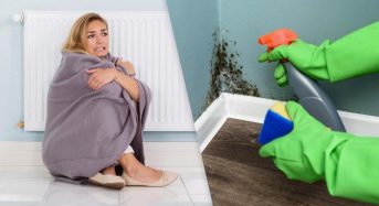 “Грибку вистачить тижня”: лікар розповів, коли у неопалюваному будинку з’являється цвіль