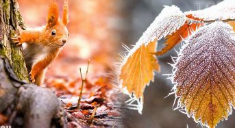 Яке сьогодні, 4 листопада, свято — все про цей день, яке церковне свято, що не можна робити
