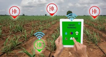 Відкритий конкурс AGRO-WELL: фермери, наукові установи  можуть отримати до 37 500 євро на інновації