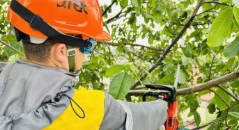 ДТЕК Київські регіональні електромережі: більше розчищених трас – менше аварій