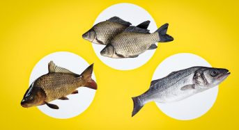 Як зрозуміти, що риба свіжа: лікар розповів, на що звертати увагу