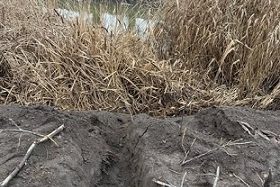 Звернення міського голови Вячеслава Саулка до жителів міста