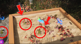 Дистанційне мінування — небезпечна загроза