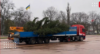 У Переяславі встановлять головну ялинку міста: якою вона буде