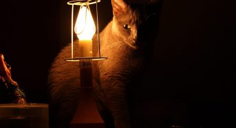 У Бориспільському районі скоротили відключення світла з 12 до 8 годин