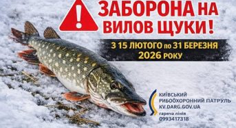 Заборона на вилов щуки