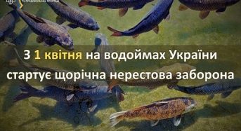 Держрибагентство: З 1 квітня на водоймах України стартує щорічна нерестова заборона