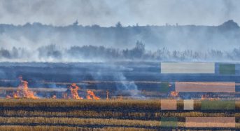 Заборона спалювання трави на Київщині у 2026 році: Штрафи, закон та безпечні альтернативи