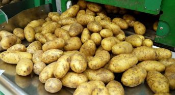 Ціни на продукти у 2026 році: що прогнозують для України