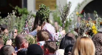 Графік Богослужінь на Вербну неділю (5 квітня 2026 року)