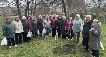 Пам’ять, що проростає: у гімназії №1 висадили Сад пам’яті