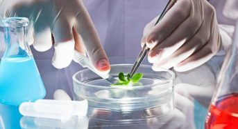 Державне регулювання генетично-інженерної діяльності