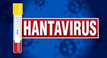 Заходи з профілактики хантавірусної інфекції