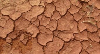 Річки міліють до історичних мінімумів: чи загрожує Україні нестача води