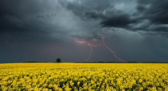 Попередження про небезпечні метеорологічні явища в Київській області